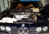 BMW E24 Bervid
