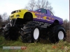 BMW Monsters